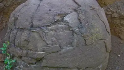 Zakon.kz, фото - Новости Zakon.kz от 24.06.2015 00:44