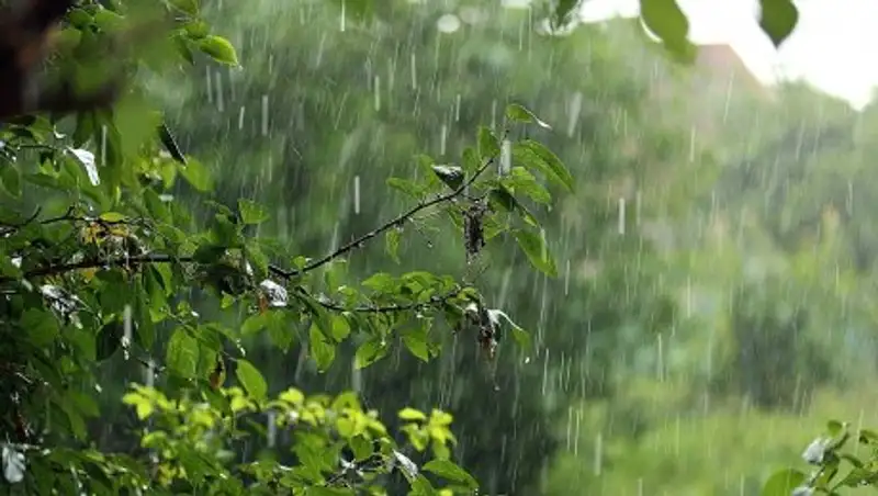 Какая погода ожидает казахстанцев на выходных