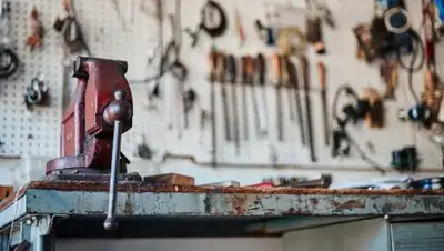 pixabay.com/, фото - Новости Zakon.kz от 13.02.2019 10:14