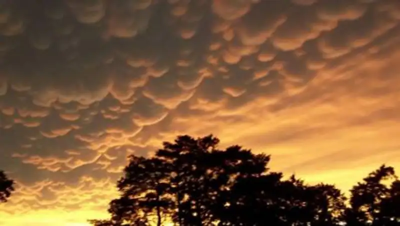 В пяти областях Казахстана объявлено штормовое предупреждение