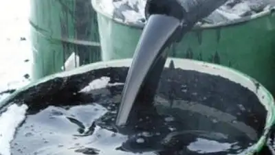 Zakon.kz, фото - Новости Zakon.kz от 05.06.2014 19:40