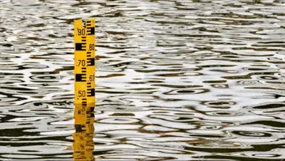 platon, фото - Новости Zakon.kz от 09.05.2020 08:18