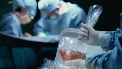 Zakon.kz, фото - Новости Zakon.kz от 05.02.2016 15:36