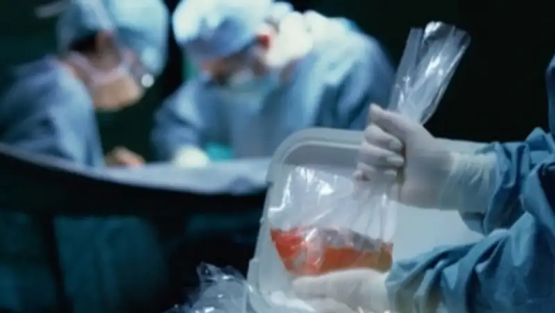 Павлодарские имамы высказались о донорстве и трансплантации органов