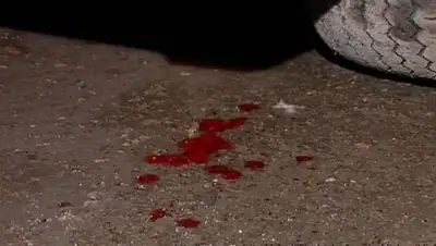 Zakon.kz, фото - Новости Zakon.kz от 12.11.2014 22:11