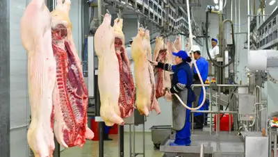 пресс-служба акима СКО, фото - Новости Zakon.kz от 21.05.2019 18:08