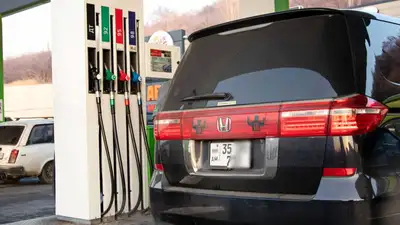 легализация авто, фото - Новости Zakon.kz от 20.06.2023 15:45