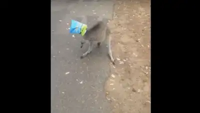 Zakon.kz, фото - Новости Zakon.kz от 14.07.2016 23:28