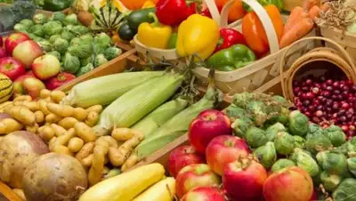 Zakon.kz, фото - Новости Zakon.kz от 05.06.2017 16:36