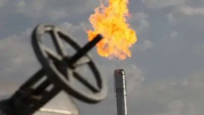 Zakon.kz, фото - Новости Zakon.kz от 02.01.2016 17:54