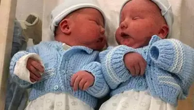 Zakon.kz, фото - Новости Zakon.kz от 05.11.2017 08:32