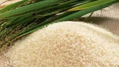 Zakon.kz, фото - Новости Zakon.kz от 05.05.2017 19:02