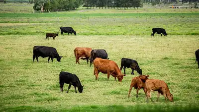 Изменение системы господдержки АПК, фото - Новости Zakon.kz от 09.03.2022 15:13