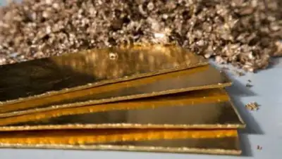 divovlg.ru, фото - Новости Zakon.kz от 22.05.2018 22:43