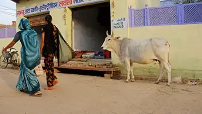 Zakon.kz, фото - Новости Zakon.kz от 13.09.2016 03:07