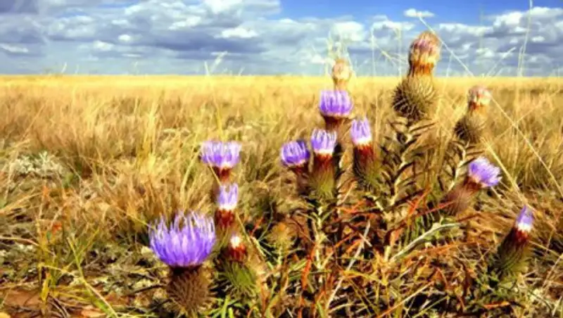 31 мая на большей части РК сохраняется жаркая погода без осадков