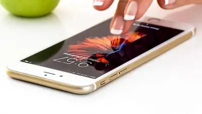 pixabay.com, фото - Новости Zakon.kz от 15.03.2019 11:15