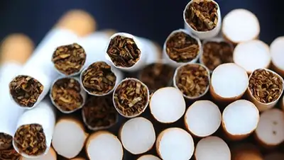 Zakon.kz, фото - Новости Zakon.kz от 20.11.2015 07:54