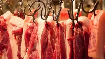 Zakon.kz, фото - Новости Zakon.kz от 05.11.2013 23:31