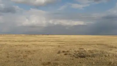 Zakon.kz, фото - Новости Zakon.kz от 19.10.2016 15:04