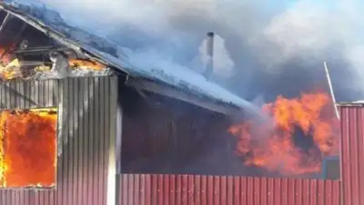 Zakon.kz, фото - Новости Zakon.kz от 28.12.2016 05:16