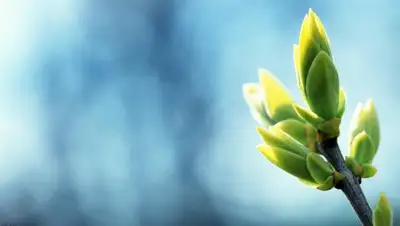 Zakon.kz, фото - Новости Zakon.kz от 03.03.2015 20:25