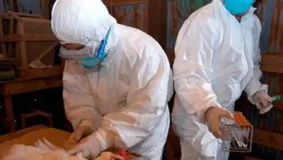 EPA/UPG, фото - Новости Zakon.kz от 13.12.2020 16:58