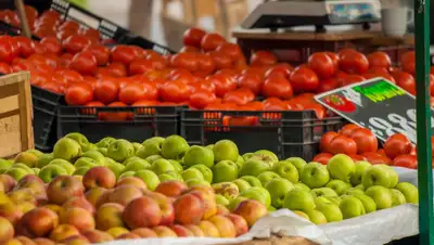 Pixabay, фото - Новости Zakon.kz от 18.03.2019 17:57