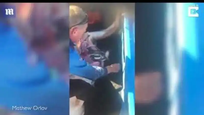 Рыбак сделал мертвой акуле кесарево сечение и спас почти сто детенышей