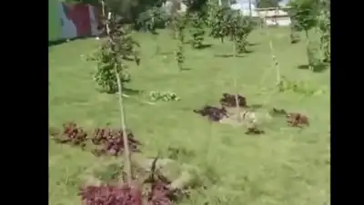 YouTube, фото - Новости Zakon.kz от 21.05.2018 20:58