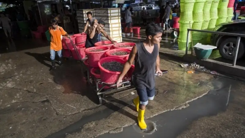 Трудовое рабство в Таиланде: кто чистит для нас креветки