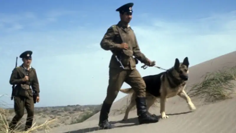 В Актюбинской области пограничники изнасиловали девушку