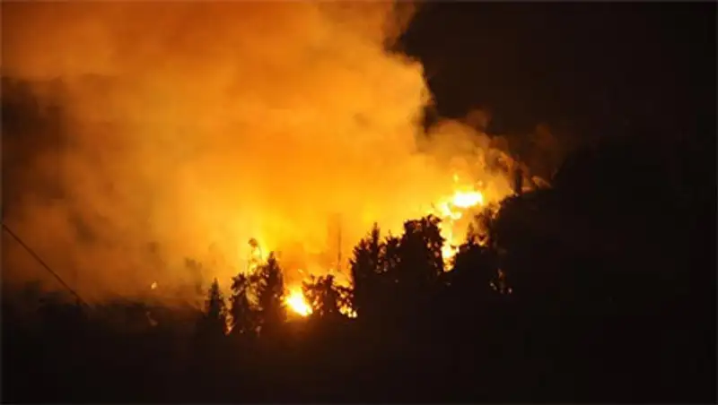 Безответственность туристов стала причиной пожара в Иле-Алатауском нацпарке, фото - Новости Zakon.kz от 28.10.2013 22:36