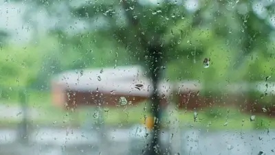 pixabay.com, фото - Новости Zakon.kz от 05.08.2020 13:08