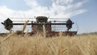 zakon.kz / Павел Михеев, фото - Новости Zakon.kz от 10.08.2021 16:10