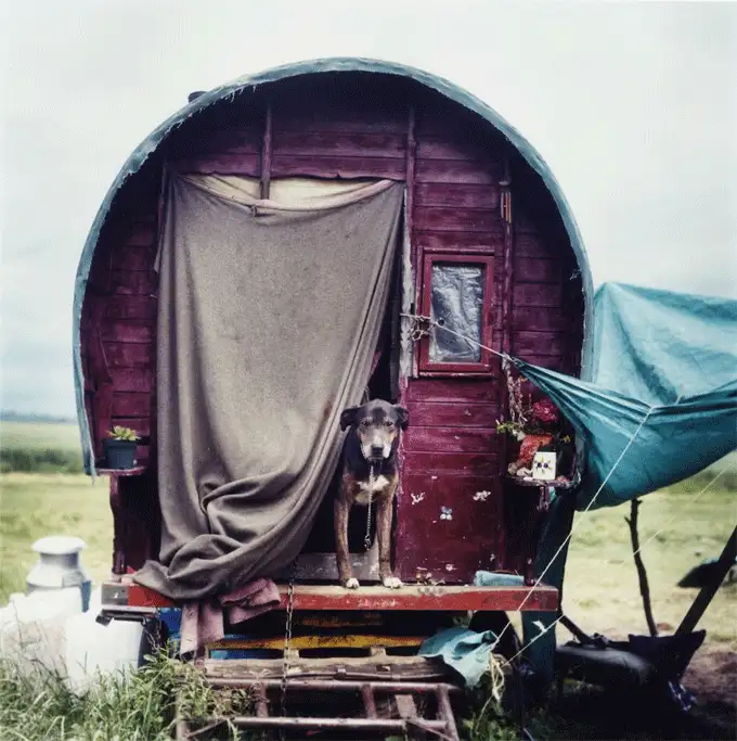 Цыгане 21-го века Цыгане 21-го века, фото - Новости Zakon.kz от 10.11.2013 19:26