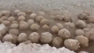 В Финском заливе засняли "ледяные яйца" , фото - Новости Zakon.kz от 26.02.2023 03:25