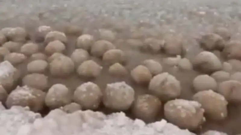 В Финском заливе засняли "ледяные яйца"