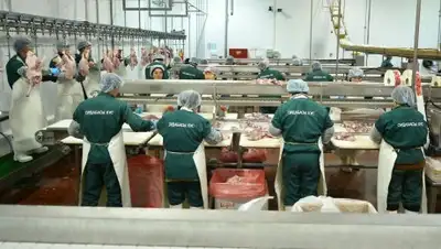 Zakon.kz, фото - Новости Zakon.kz от 14.01.2017 21:08