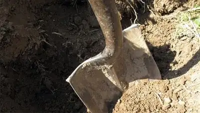 Zakon.kz, фото - Новости Zakon.kz от 21.10.2014 19:11