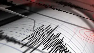 cheltv.ru, фото - Новости Zakon.kz от 22.09.2019 08:12