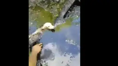 YouTube, фото - Новости Zakon.kz от 21.06.2018 19:12