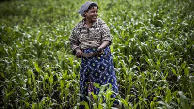 Женщина-фермер, выращивающая сорго в Кении., фото - Новости Zakon.kz от 07.08.2020 06:32