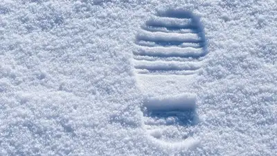 Трассу Алматы- Тараз заметает, фото - Новости Zakon.kz от 16.11.2022 15:52