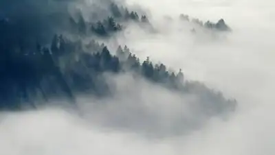 Pixabay, фото - Новости Zakon.kz от 12.12.2020 22:02