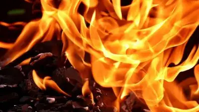 pixabay.com, фото - Новости Zakon.kz от 21.02.2021 15:19