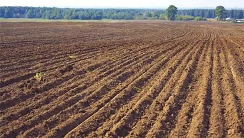 В Кызылорде директор детского интерната стал неблагонадежным из-за земельного вопроса, фото - Новости Zakon.kz от 17.10.2013 20:40