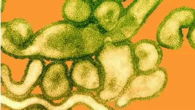 Zakon.kz, фото - Новости Zakon.kz от 06.02.2014 16:34