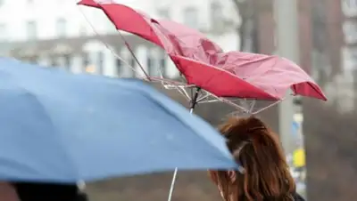 Zakon.kz, фото - Новости Zakon.kz от 31.07.2017 23:57