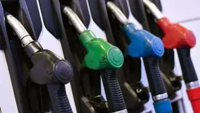 24.kz, фото - Новости Zakon.kz от 12.04.2021 18:40